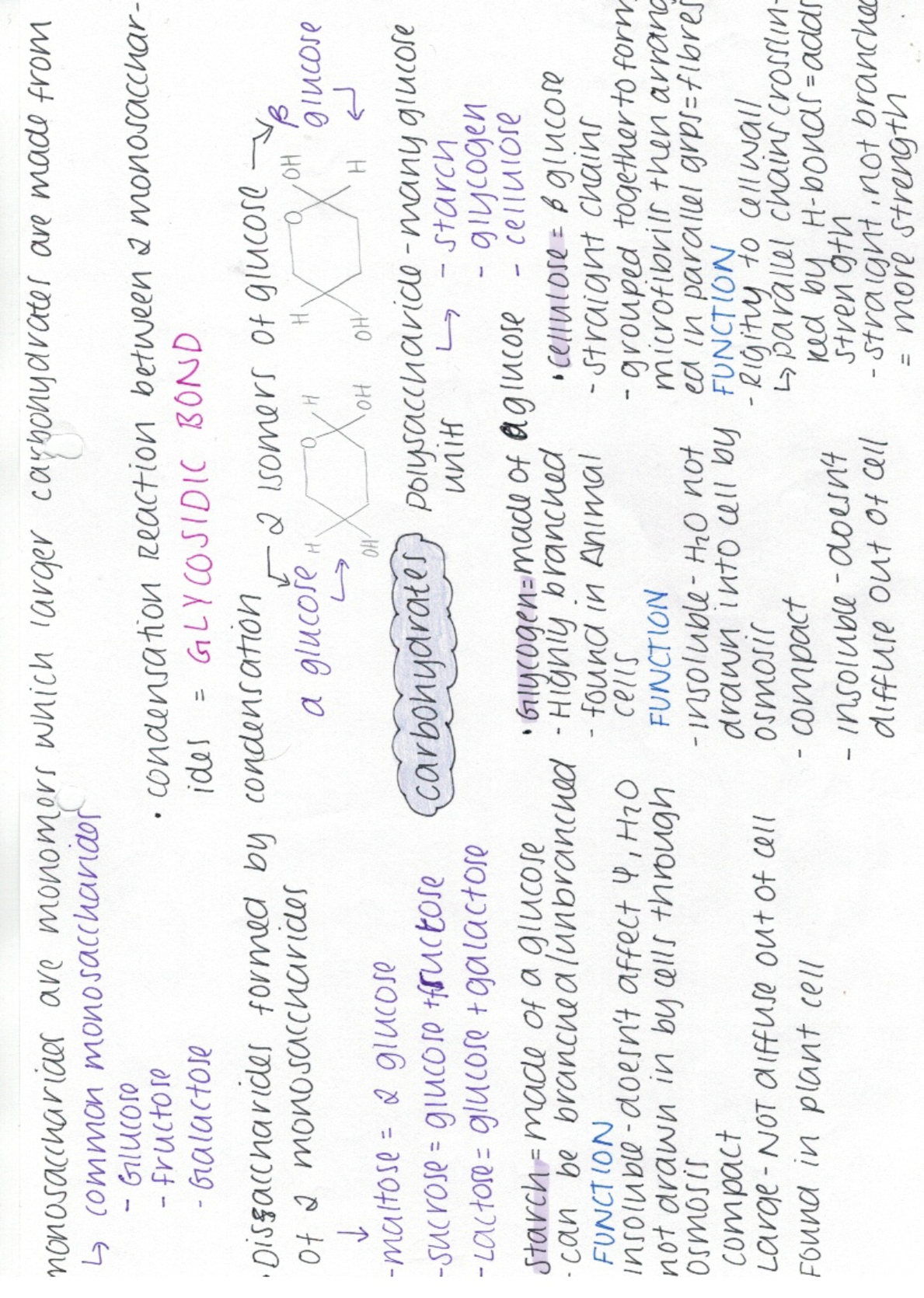 Preview image for AQA A-Level Biology Module 1-Carbohydrates Mindmap